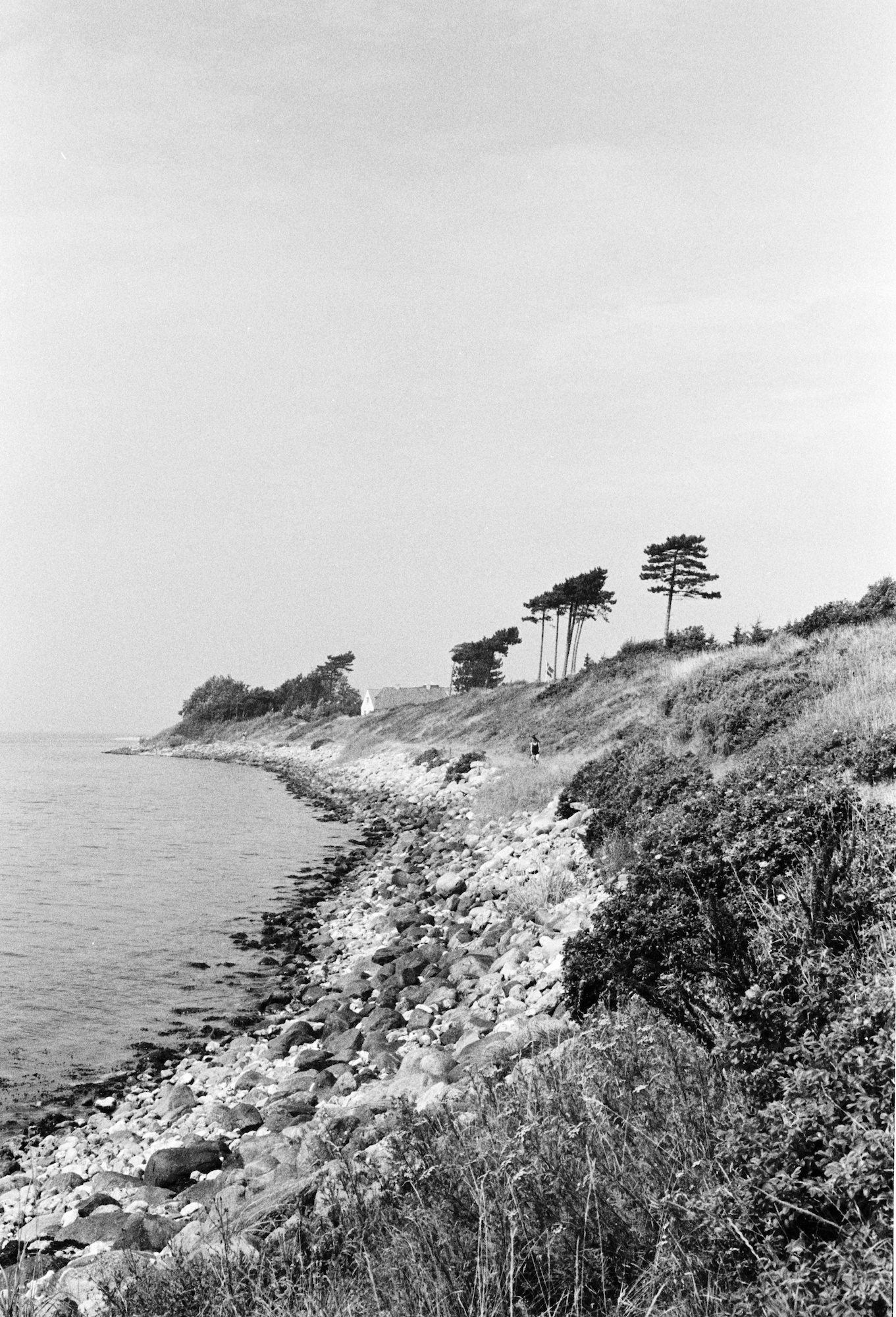 Andet